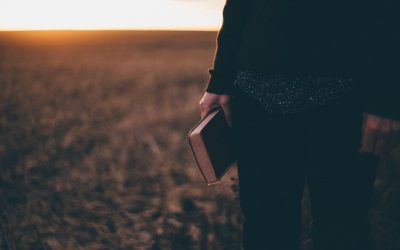 The Making of a Disciple Making Pastor